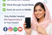 Online work for girls and housewife