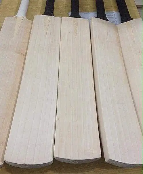 Customized original English Willow wood cricket bats