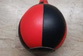 Speed/ Punching Ball