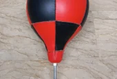 Speed/ Punching Ball