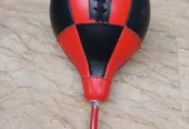 Speed/ Punching Ball